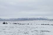 IMG_0882_DxO_bearb-Kopie
