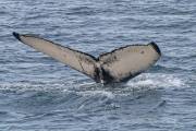 IMG_1281_DxO_bearb02-Kopie