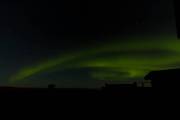 IMG_1431_DxO_bearb