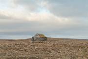 IMG_2041_DxO_bearb-Kopie