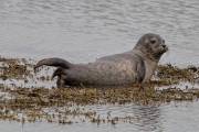 IMG_2280_DxO_bearb-Kopie