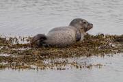 IMG_2282_DxO_bearb-Kopie