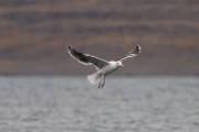 IMG_2305_DxO_bearb-Kopie