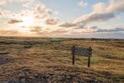 IMG_2824_DxO_bearb-Kopie