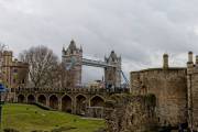 IMG_6116_DxO_bearb
