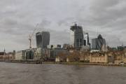 IMG_6203_DxO_bearb