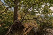 IMG_9194_DxO_bearb-Kopie